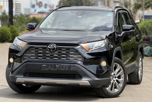 Toyota RAV4 LE AWD 2019 Black