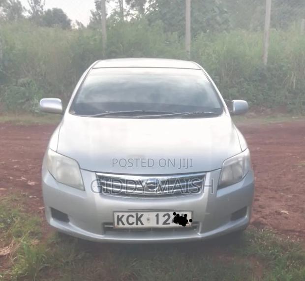 Toyota Axio 2010 Silver