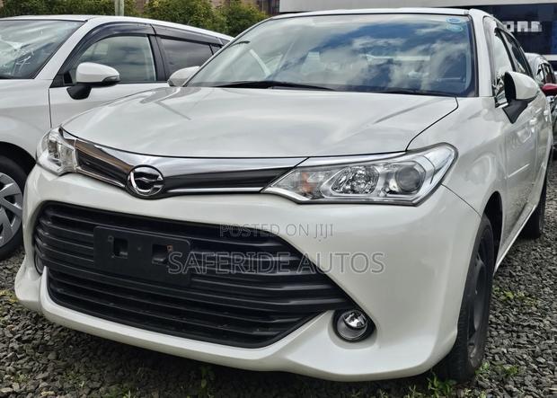 Toyota Axio 2019 Burgundy
