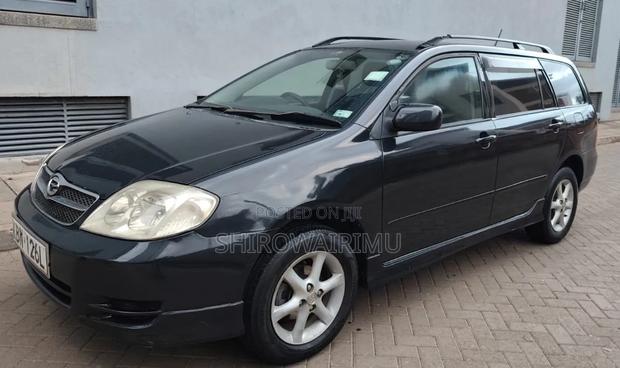 Toyota Corolla Fielder 2004 Matt Black