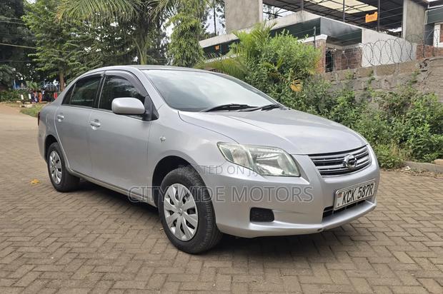 Toyota Axio 2009 Silver