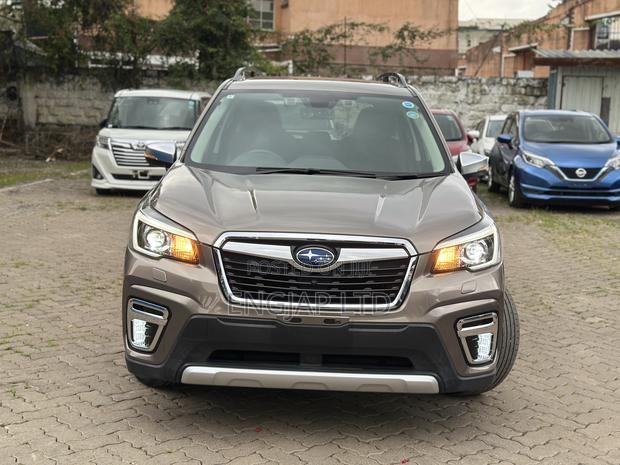 Subaru Forester 2019 Brown