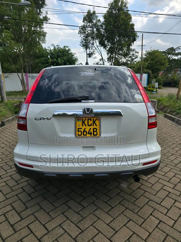 Honda CR-V 2010 White