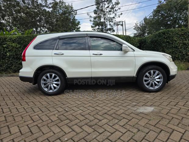 Honda CR-V 2010 White