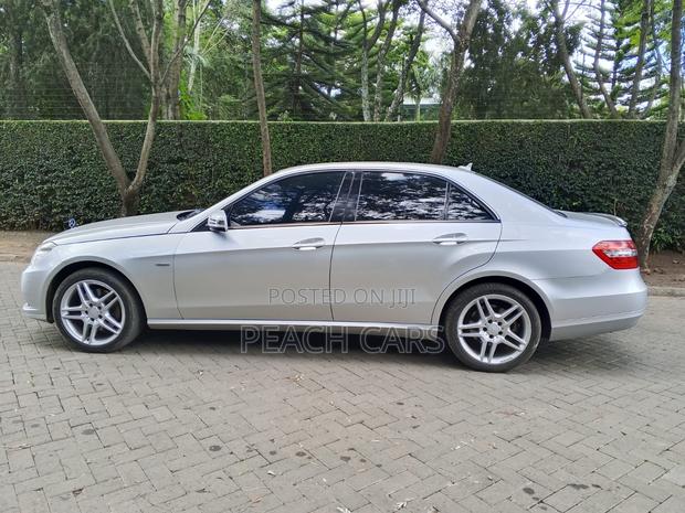 Mercedes-Benz E250 2009 Silver