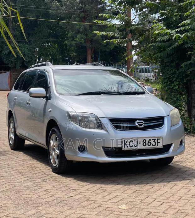 Toyota Corolla Fielder 2009 Silver