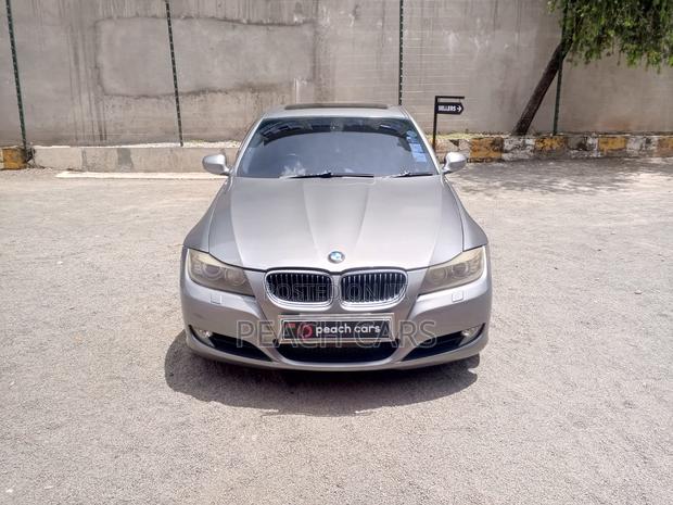 BMW 3 Series 2009 Gray