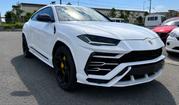 Lamborghini Urus 2024 White for sale