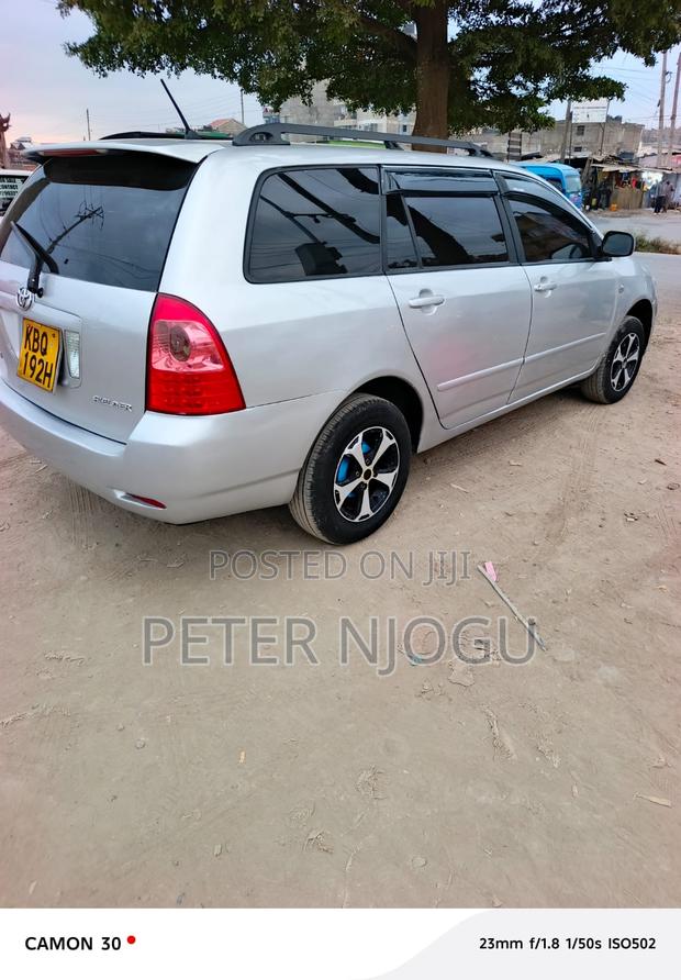 Toyota Corolla Fielder 2007 Gray