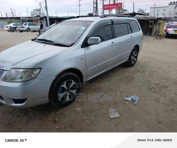 Toyota Corolla Fielder 2007 Gray