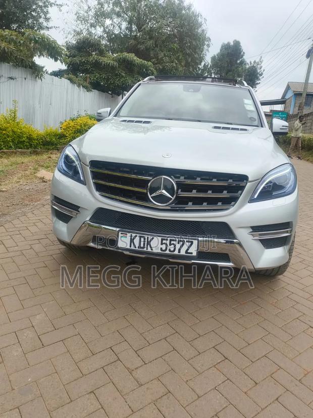 Mercedes-Benz M Class 2014 Silver