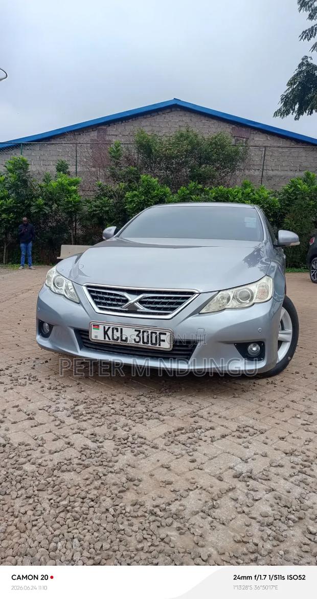 Toyota Mark X 2010 Gray