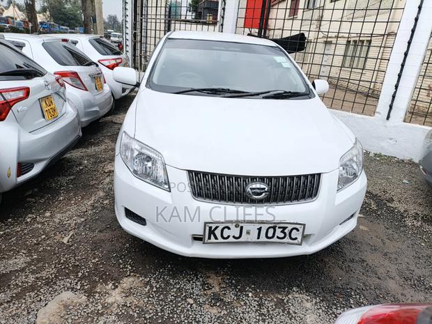 Toyota Corolla Fielder 2010 Pearl
