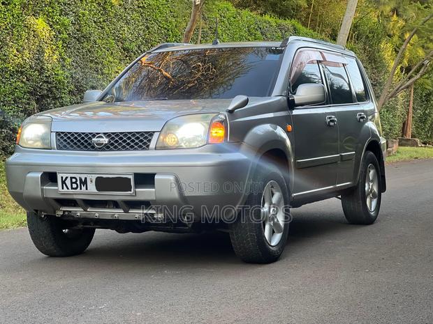 Nissan X-Trail 2.0 2006 Gray