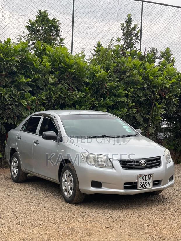 Toyota Axio 2010 Silver