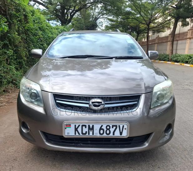 Toyota Corolla Fielder 2010 Gray