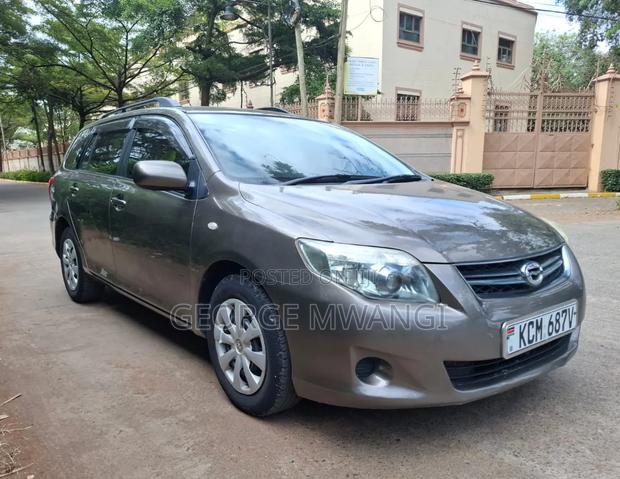 Toyota Corolla Fielder 2010 Gray