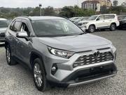 Toyota RAV4 2019 Silver for sale