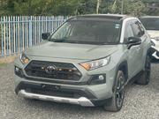 Toyota RAV4 Adventure 2019 for sale