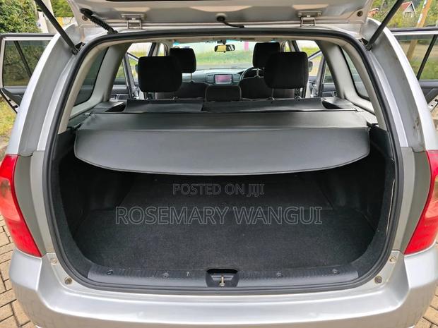 Toyota Corolla Fielder 2005 Gray