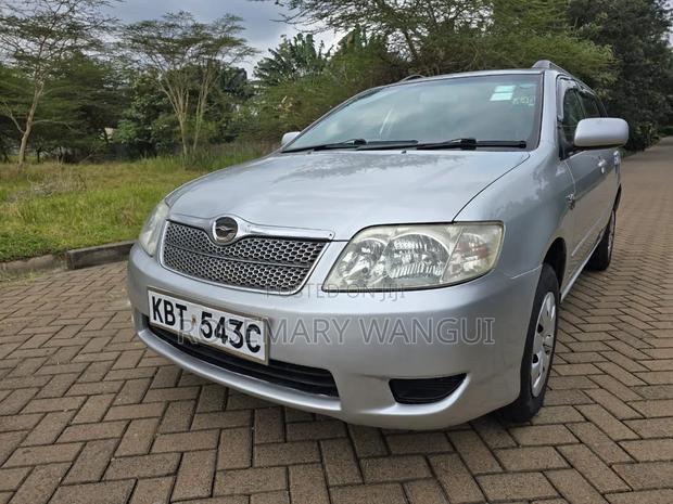 Toyota Corolla Fielder 2005 Gray
