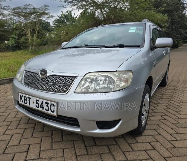 Toyota Corolla Fielder 2006 Silver