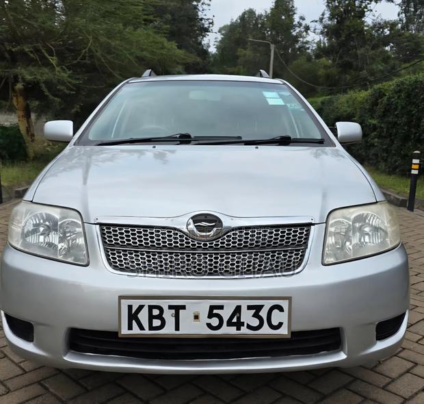 Toyota Corolla Fielder 2006 Silver