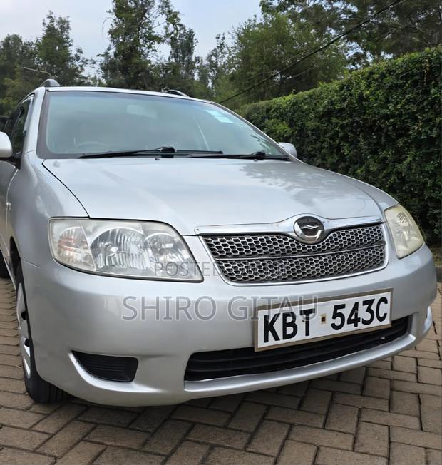 Toyota Corolla Fielder 2006 Silver