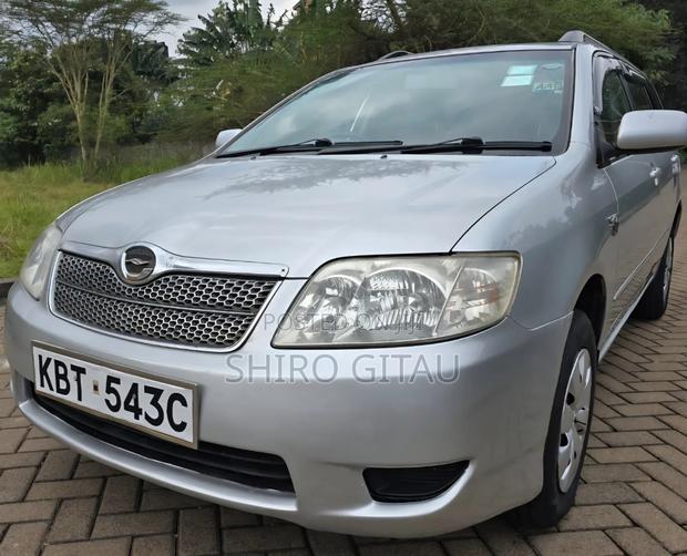 Toyota Corolla Fielder 2006 Silver