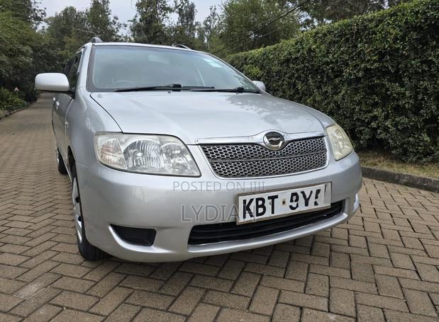 Toyota Corolla Fielder 2005 Silver