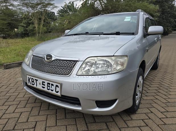 Toyota Corolla Fielder 2005 Silver