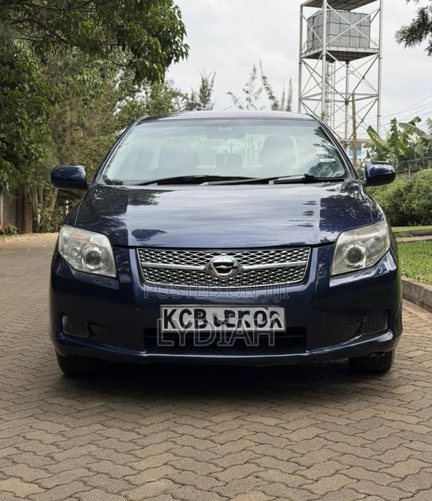 Toyota Axio 2007 Blue