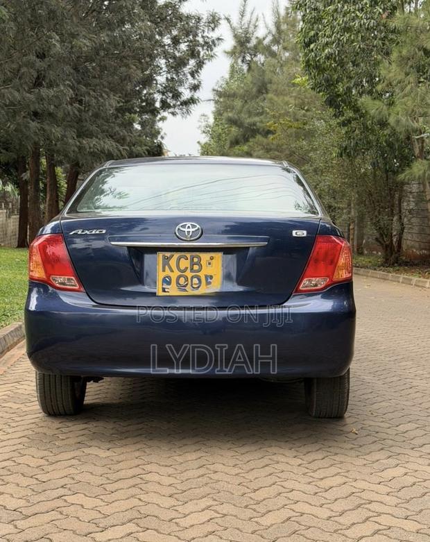 Toyota Axio 2007 Blue
