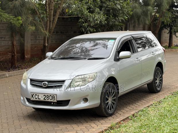 Toyota Corolla Fielder 2011 Silver