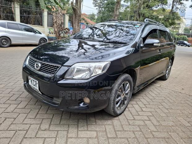 Toyota Corolla Fielder 2012 Matt Black