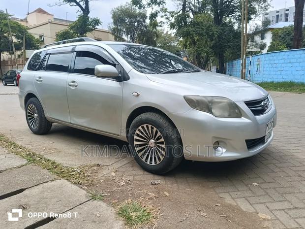 Toyota Corolla Fielder 2009 Silver