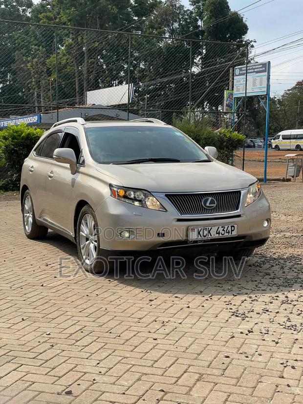 Lexus RX 2010 Gold