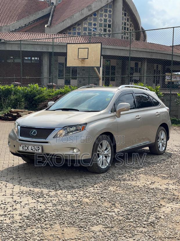 Lexus RX 2010 Gold