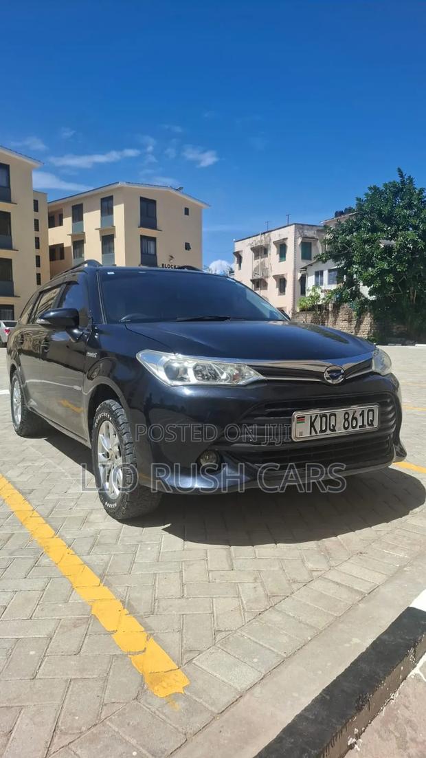 Toyota Corolla Fielder 2017 Black