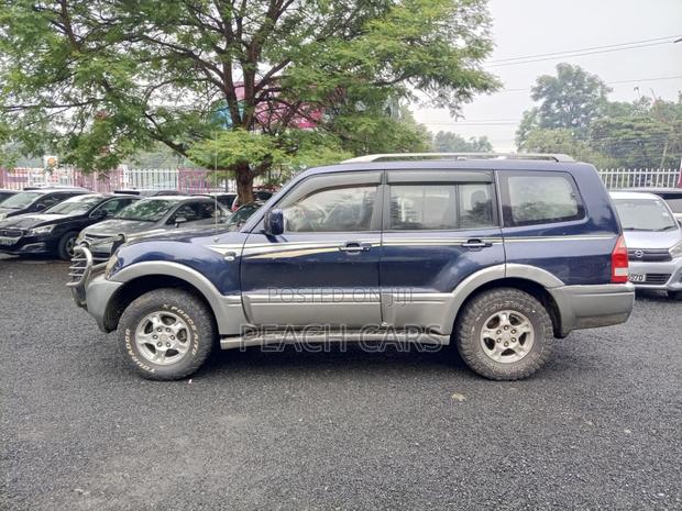 Mitsubishi Pajero 2003 Blue