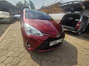 Toyota Vitz 2019 Red for sale