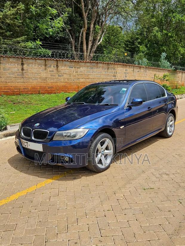 BMW 318i 2011 Blue