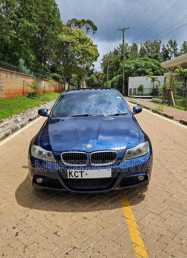 BMW 318i 2011 Blue