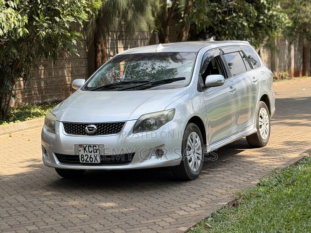 Toyota Corolla Fielder 2010 Silver