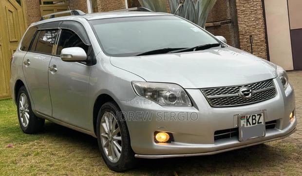 Toyota Corolla Fielder 2008 Silver