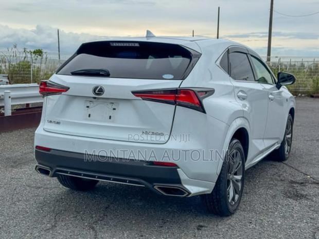 Lexus NX 300 FWD 2019 Pearl