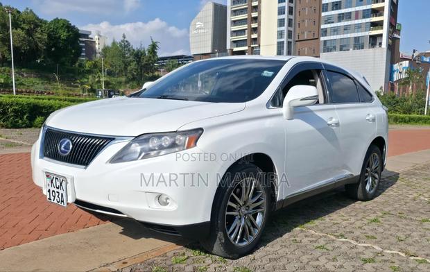 Lexus RX 2010 White