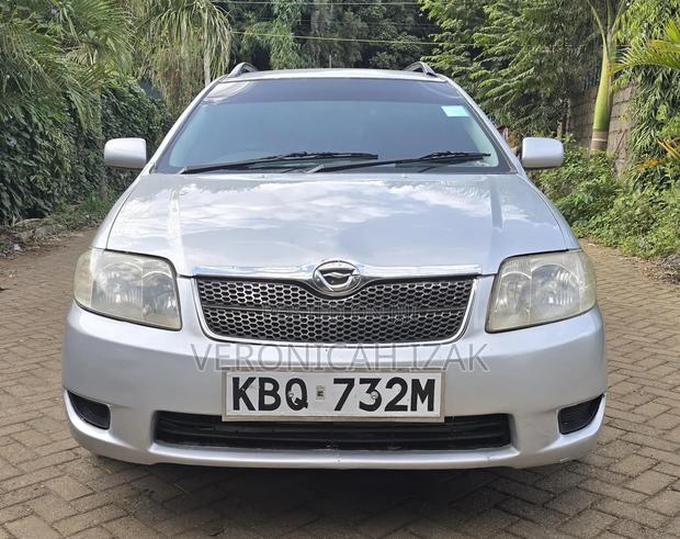 Toyota Corolla Fielder 2005 Silver