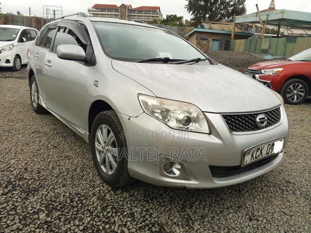 Toyota Corolla Fielder 2009 Silver