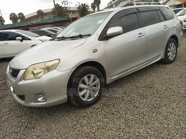 Toyota Corolla Fielder 2009 Silver